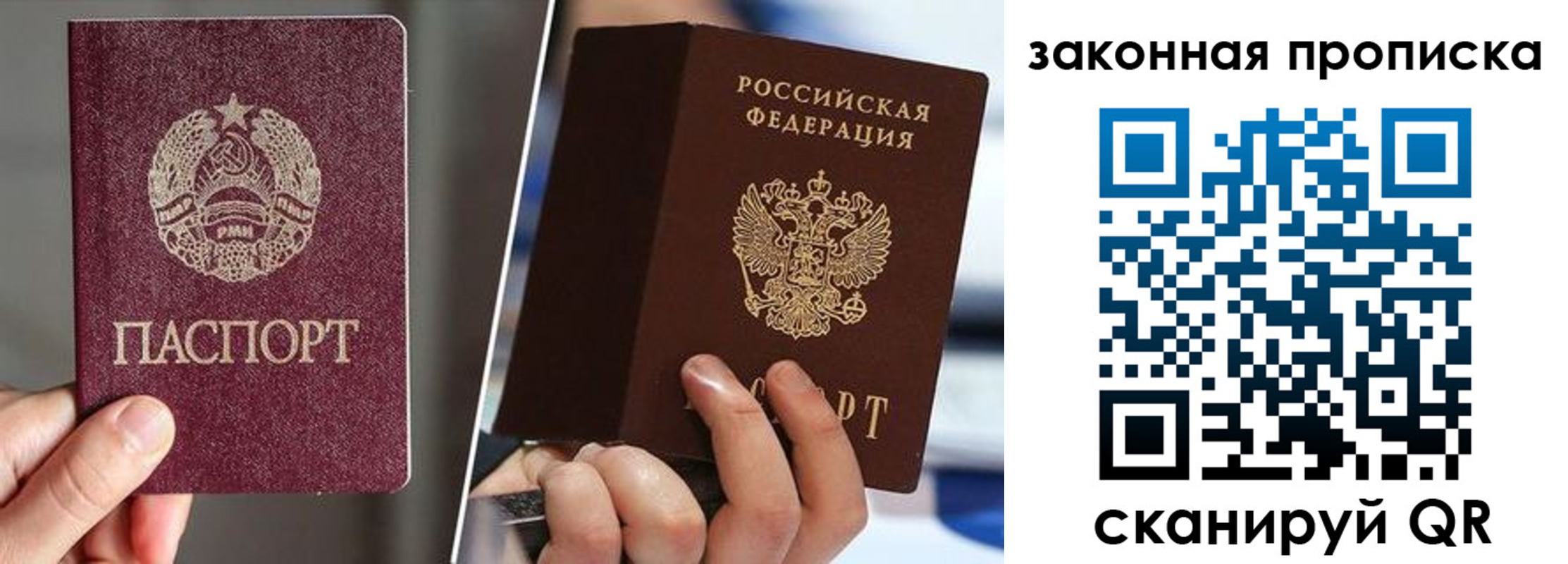 прописка поиск в Краснознаменске